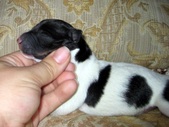 Enlarge photo 15