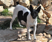 Enlarge photo 57