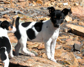 Enlarge photo 35
