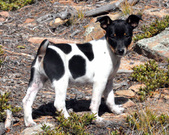 Enlarge photo 36
