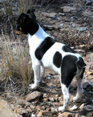 Enlarge photo 38