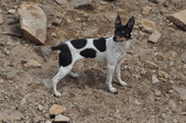 Enlarge photo 27