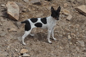 Enlarge photo 26