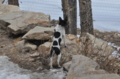 Enlarge photo 24