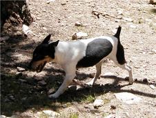 Enlarge photo 16