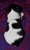 Enlarge photo 15