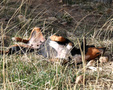 Enlarge photo 15