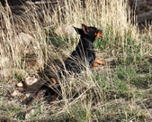 Enlarge photo 14