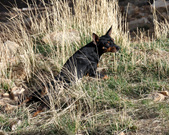 Enlarge photo 13