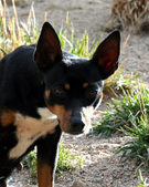 Enlarge photo 12