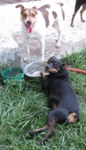Enlarge photo 22
