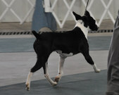 Enlarge photo 30