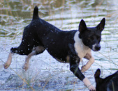 Enlarge photo 10