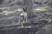 Enlarge photo 74
