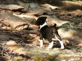 Enlarge photo 55