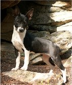 Enlarge photo 44