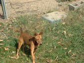 Enlarge photo 24