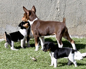 Enlarge photo 19