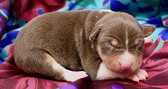 Enlarge photo 24
