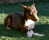 Enlarge photo 2