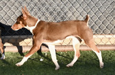 Enlarge photo 9