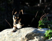 Enlarge photo 5
