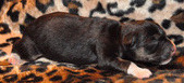 Enlarge photo 26