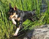 Enlarge photo 15