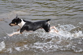 Enlarge photo 31