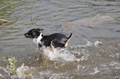 Enlarge photo 33