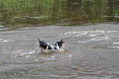 Enlarge photo 32