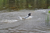 Enlarge photo 30