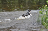 Enlarge photo 29