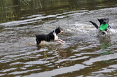 Enlarge photo 23