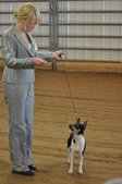 Enlarge photo 13