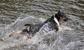 Enlarge photo 22