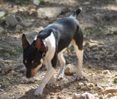 Enlarge photo 21