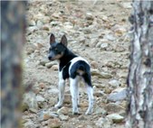 Enlarge photo 4