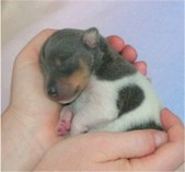 Enlarge photo 22