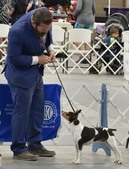 Enlarge photo 1