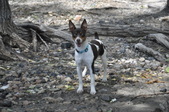 Enlarge photo 26