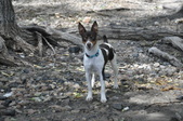 Enlarge photo 27