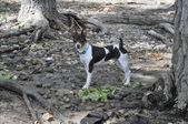 Enlarge photo 25