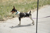 Enlarge photo 24