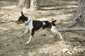 Enlarge photo 21