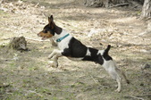 Enlarge photo 20