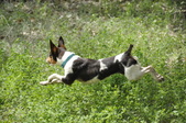Enlarge photo 19