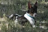 Enlarge photo 15