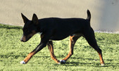 Enlarge photo 12
