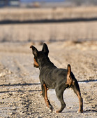 Enlarge photo 24